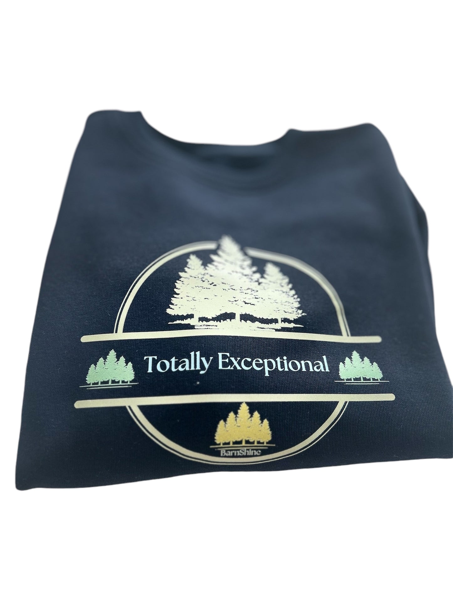 “Totally Exceptional” Sweater