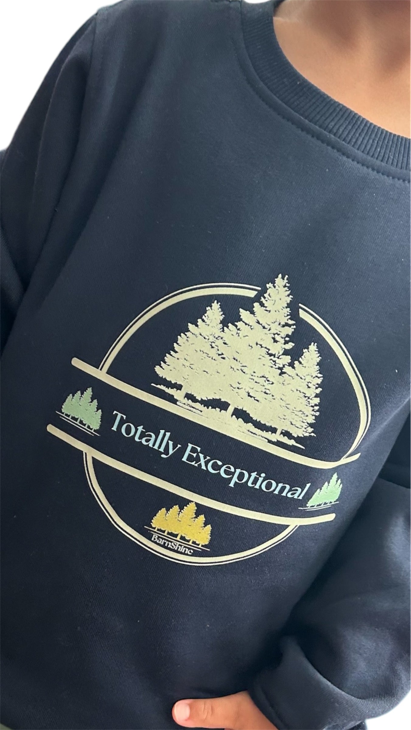 “Totally Exceptional” Sweater